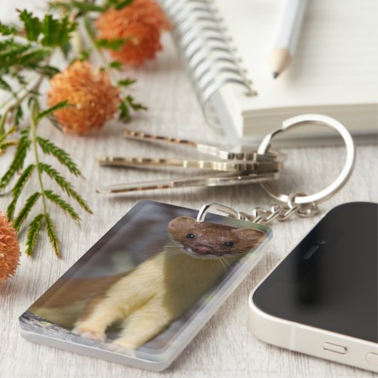 Porte-clés belette Long-coupée la queue (Devant droit)