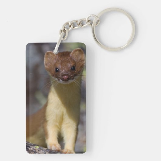 Porte-clés belette Long-coupée la queue (Dos)