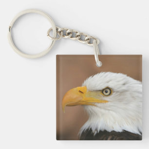 Porte-clés Belle Aigle chauve