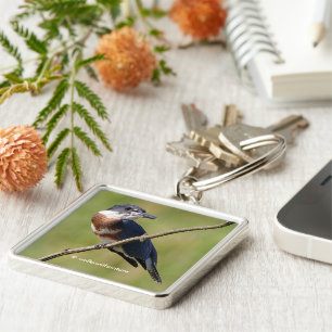 Porte-clés Belle ceinture de martin-pêcheur sur un membre