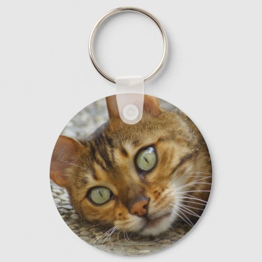 Porte-clés Belle Chat Bengale (Recto)