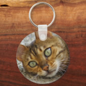 Porte-clés Belle Chat Bengale (Recto)