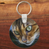 Porte-clés Belle Chat Bengale (Recto)