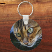 Porte-clés Belle Chat Bengale (Recto)