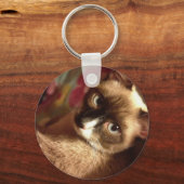 Porte-clés Belle Chat Brown (Recto)