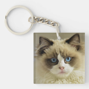 Porte-clés Belle chatte de poupée avec yeux bleus