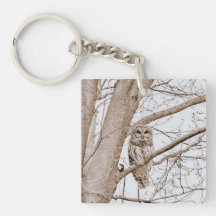 Belle Chouette rouge Audubon Valentine's