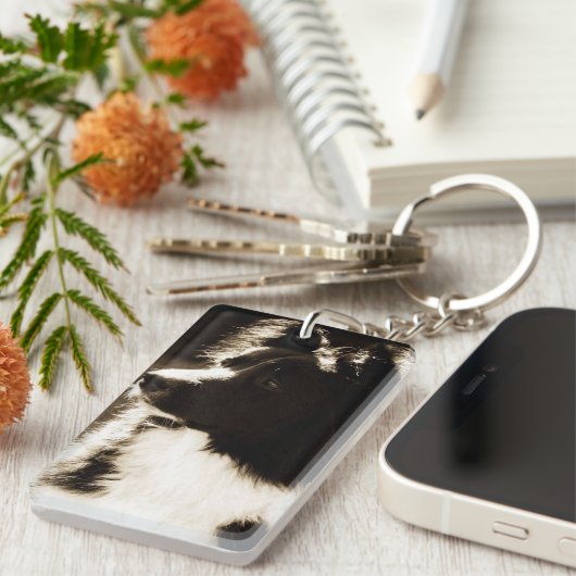 Porte-clés Belle frontière Collie~ (Devant droit)