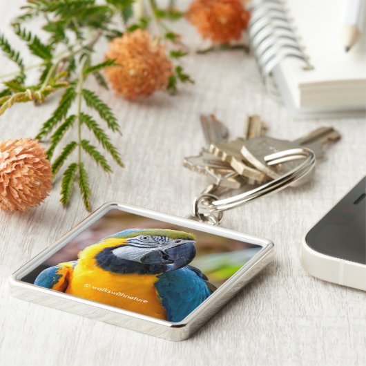 Porte-clés Belle Macaw Bleue et Or (Côté)