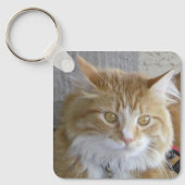 Porte-clés Belle Maine Coon Kitten Photo (Recto)