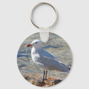 Porte-clés Belle mouette - porte - clé