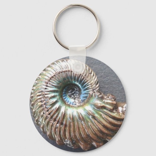 Porte-clés Belle nacre à l'ammonite fossile (Recto)