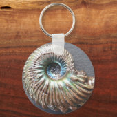Porte-clés Belle nacre à l'ammonite fossile (Recto)