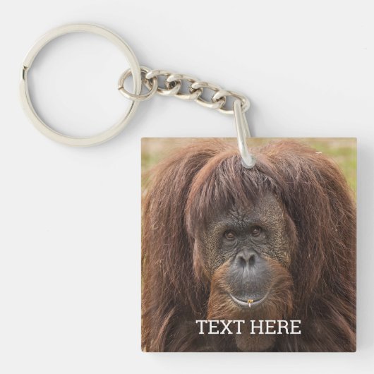 Porte-clés Belle photographie de Borneo Orangutan (Devant)