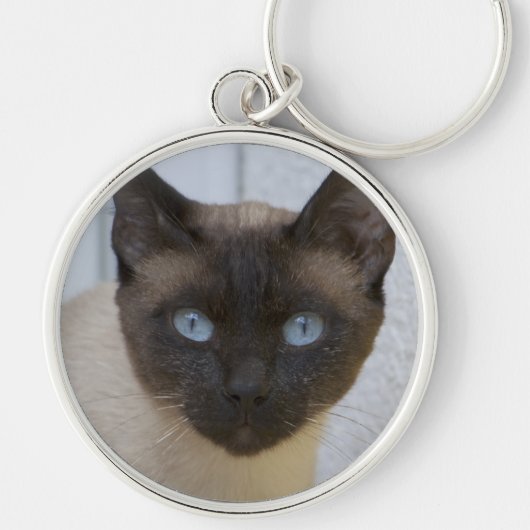 Porte-clés Belle pointe de phoque Chat siamois (Devant)