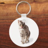 Porte-clés Bengal Kitten lèvres léchantes (Recto)