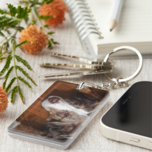 Porte-clés berger australien merle rouge pondre plat