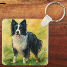 Berger Border Collie