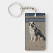 Porte-clés Bergers australiens (Devant)