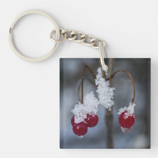 Porte-clés Berries congelées (Devant)