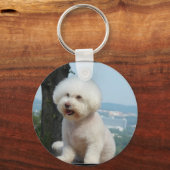 Porte-clés Bichon Frise (Recto)