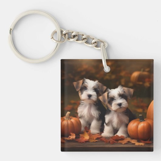 Porte-clés Biewer Terrier Chiot Automne Citrouille délice (Devant)