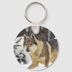 Porte-clés Big Beautiful Grey Wild Wolf in snow