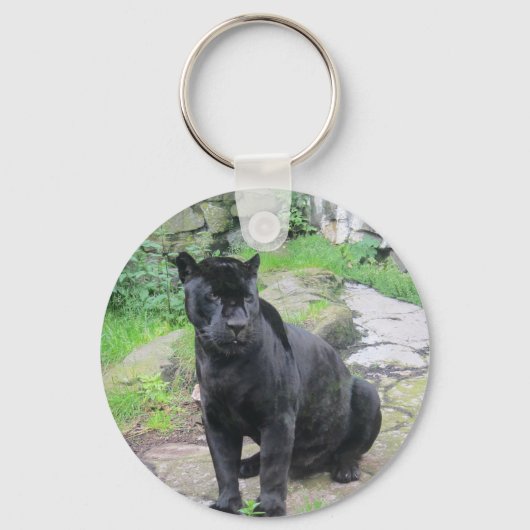 Porte-clés Big Black Jaguar Cat on Sitting on Rock (Recto)