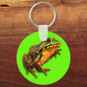 Porte-clés Big Bullfrog Porte - clé vert (Recto)