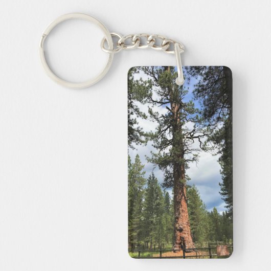 Porte-clés Big Red Tree, La Pine, Oregon (Devant)