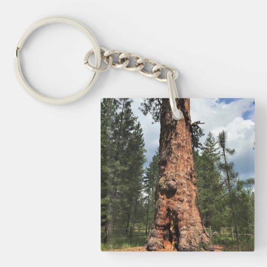 Porte-clés Big Red Tree, La Pine, Oregon (Devant)