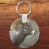 Porte-clés Bighorn du désert (Recto)