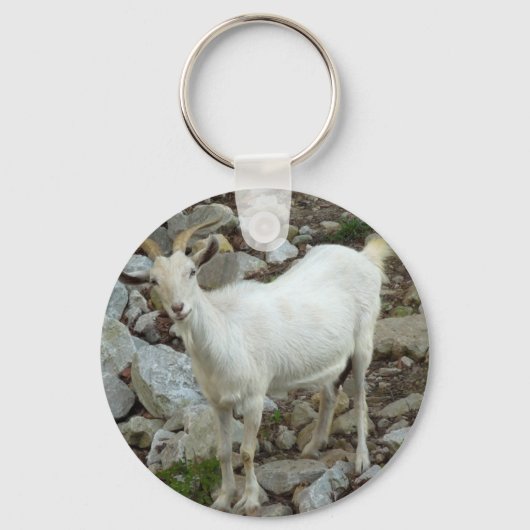 Porte-clés Billy Goat (Recto)
