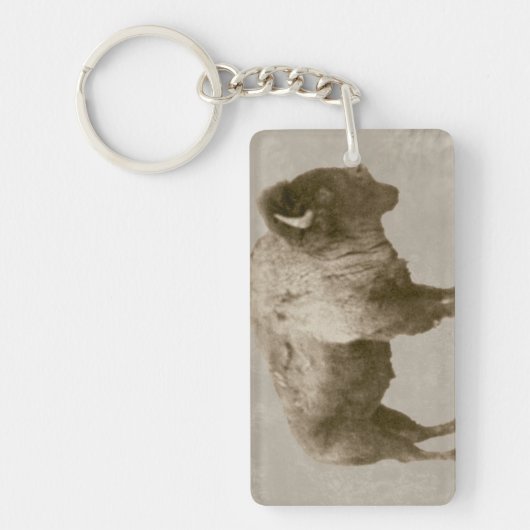 Porte-clés Bison américain (Devant)