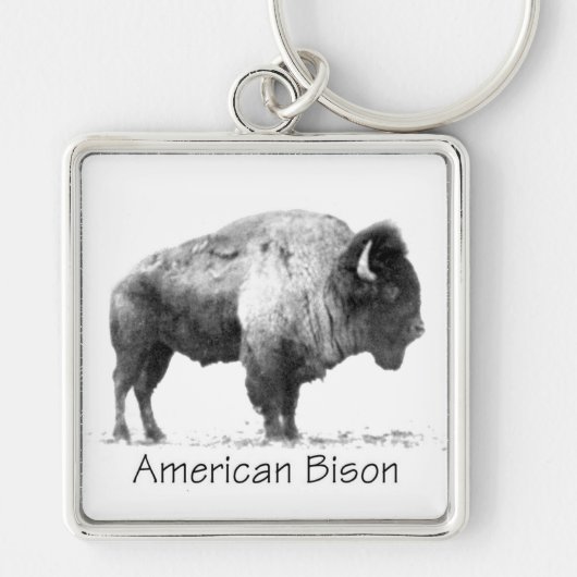 Porte-clés Bison américain (Devant)