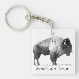 Porte-clés Bison américain