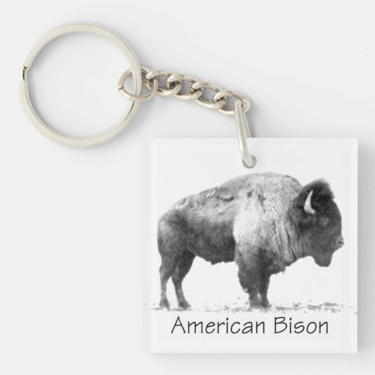 Porte-clés Bison américain (Devant)