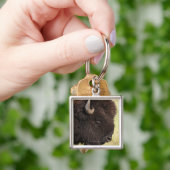 Porte-clés Bison américain, le Dakota du Sud (main)