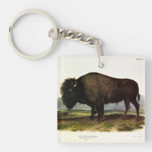 Porte-clés Bison américain, ou bison (bison) - Audubon