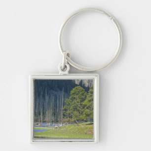 Porte-clés Bison avec son veau au Parc national de Yellowston