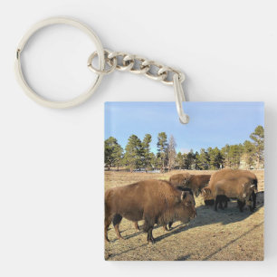 Porte-clés Bison dans le Colorado