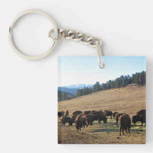 Porte-clés Bison dans le Colorado