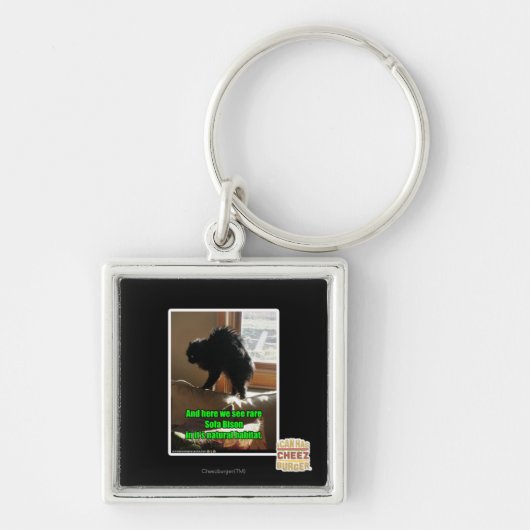 Porte-clés Bison de sofa (Devant)