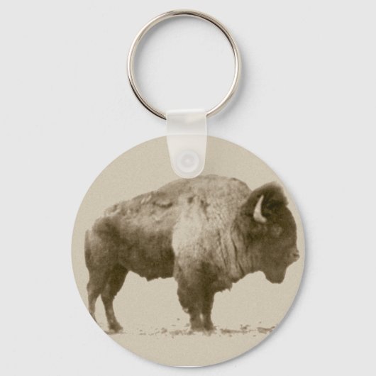Porte-clés Bison des plaines (Recto)