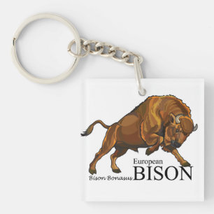 Porte-clés bison européen