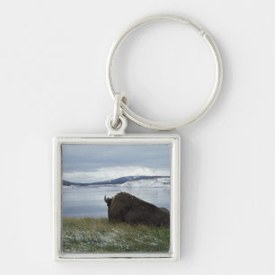 Porte-clés Bison se reposant par la rivière Yellowstone avec