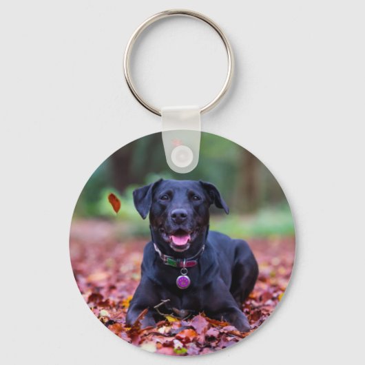 Porte-clés Black Labrador Dans Les Feuilles Automnes (Recto)