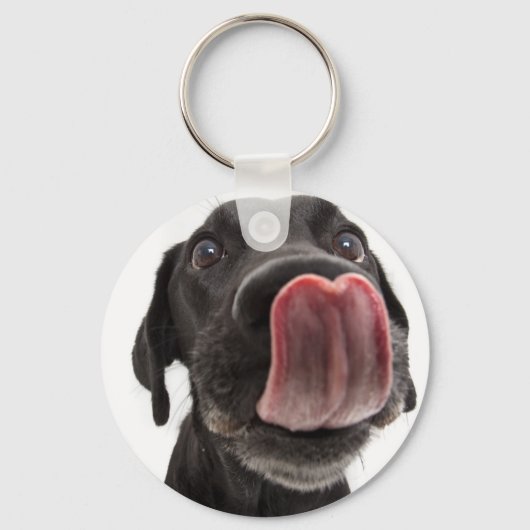 Porte-clés Black Labrador Licking (Recto)