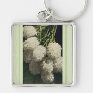 Porte-clés Blackberry blanc