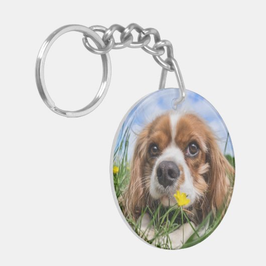 Porte-clés Blenheim Cavalier King Charles Spaniel Chien Chien (Devant gauche)
